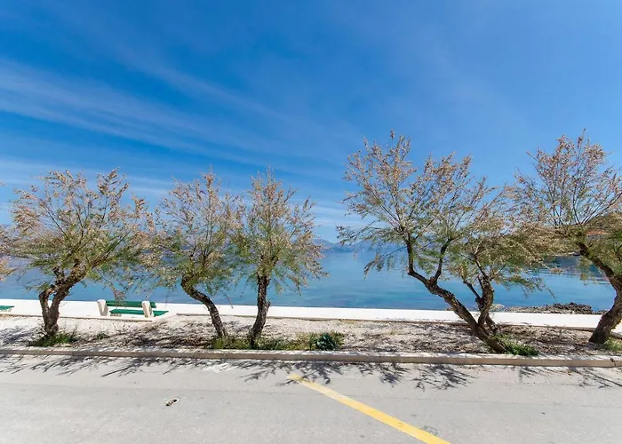 アパート Paradise ポスティレ